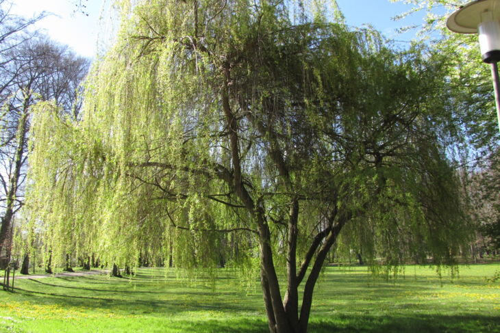 Luitpoldpark Schwabmünchen