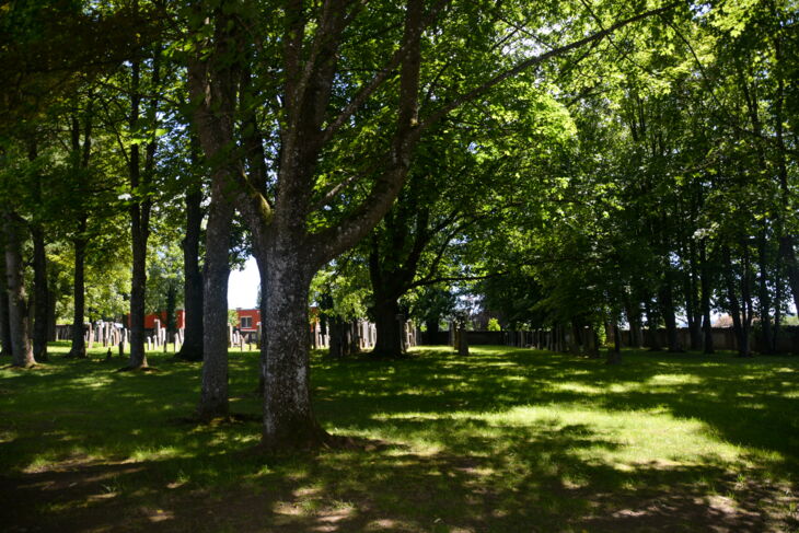 Jüdischer Friedhof Fischach